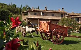 Farm stay Il Carro del Colle